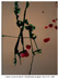 La vie en rose 01
